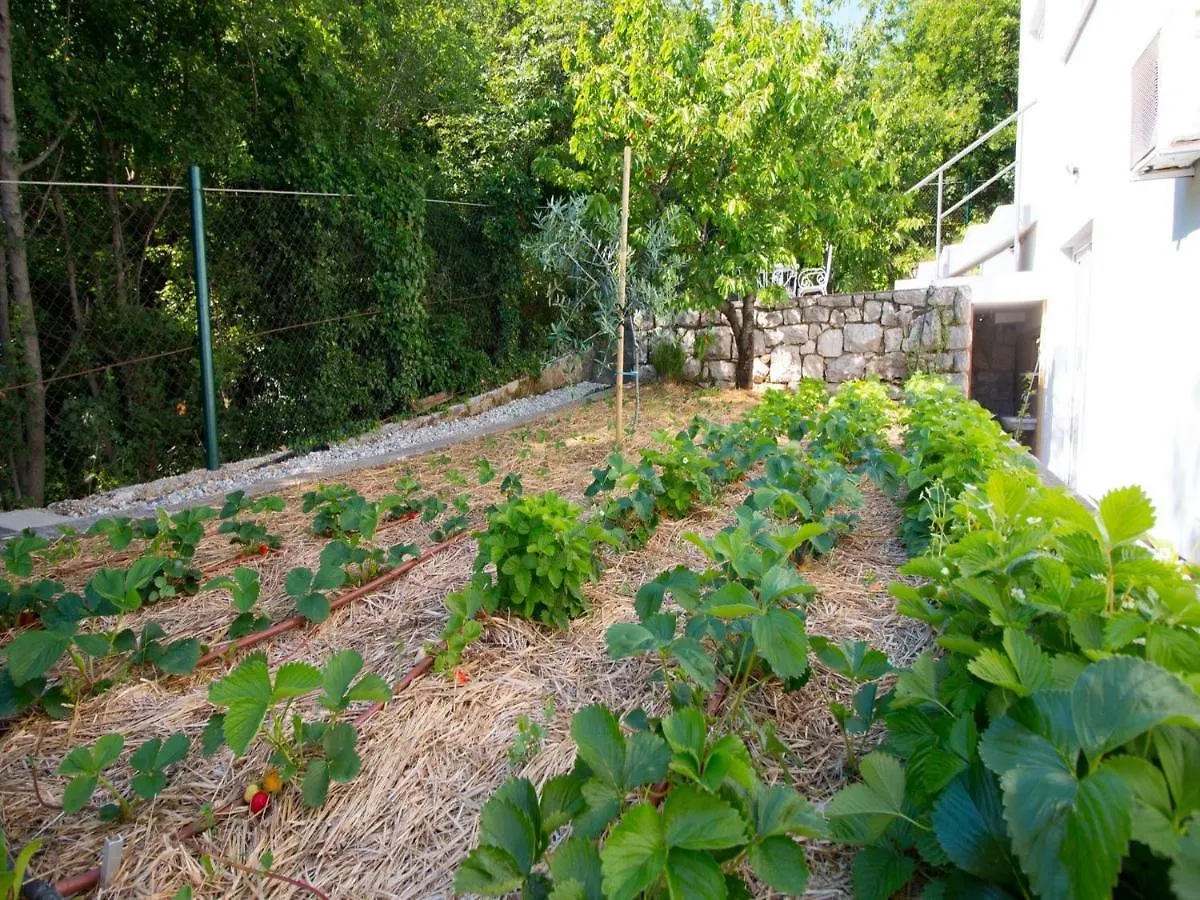 House Villa Gardens Crikvenica